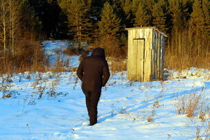 A rustic wooden toilet stands in the midst of a will near the forest.